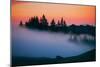 After Sunset Silhouette and Fog, Mount Tamalpais California-Vincent James-Mounted Photographic Print