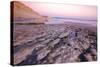 After Sunset Walk, Point Reyes Seashore-Vincent James-Stretched Canvas