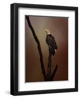 After the Autumn Storm-Jai Johnson-Framed Premium Giclee Print