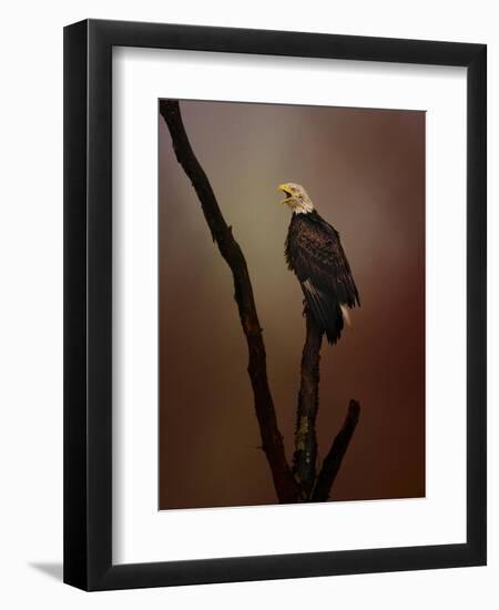 After the Autumn Storm-Jai Johnson-Framed Premium Giclee Print