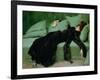 After the ball' by Ramon Casas, 1895-null-Framed Premium Giclee Print