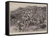 After the Battle at Potgieter's Drift, Helping Fallen Foemen-Henry Marriott Paget-Framed Stretched Canvas