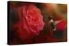 After the Big Rose-Jai Johnson-Stretched Canvas