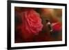 After the Big Rose-Jai Johnson-Framed Giclee Print