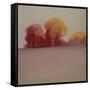 After the Harvest-Michelle Abrams-Framed Stretched Canvas