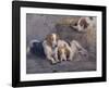 After the Hunt-John Sargent Noble-Framed Premium Giclee Print