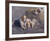 After the Hunt-John Sargent Noble-Framed Premium Giclee Print