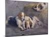After the Hunt-John Sargent Noble-Mounted Premium Giclee Print