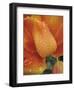 After the Rain 2049-Brian Leighton-Framed Giclee Print