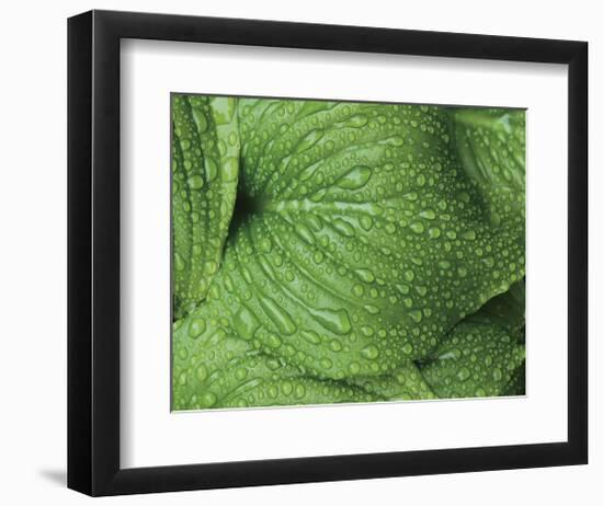 After the Rain 6834-Brian Leighton-Framed Giclee Print