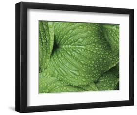 After the Rain 6834-Brian Leighton-Framed Giclee Print