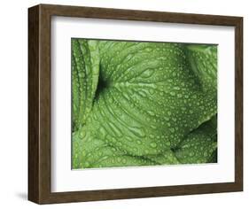 After the Rain 6834-Brian Leighton-Framed Giclee Print