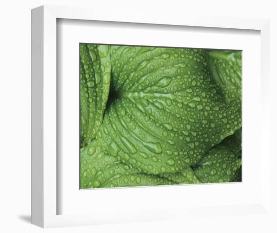 After the Rain 6834-Brian Leighton-Framed Giclee Print