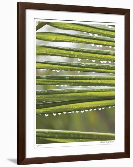 After the Rain I-Joy Doherty-Framed Giclee Print