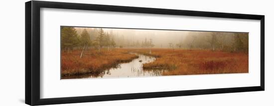 After the Rain-Michael Hudson-Framed Giclee Print