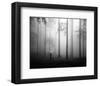 After the Rain-null-Framed Art Print