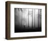 After the Rain-null-Framed Art Print