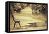 After the Rain-Sebastien Lory-Framed Stretched Canvas