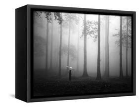 After the Rain-Hengki Lee-Framed Stretched Canvas