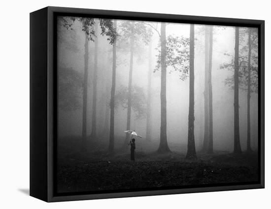 After the Rain-Hengki Lee-Framed Stretched Canvas