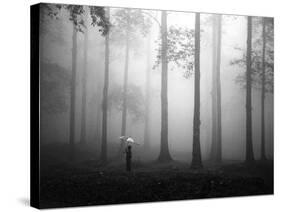 After the Rain-Hengki Lee-Stretched Canvas