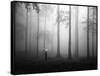 After the Rain-Hengki Lee-Framed Stretched Canvas