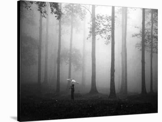 After the Rain-Hengki Lee-Stretched Canvas