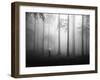 After the Rain-Hengki Lee-Framed Premium Photographic Print