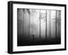 After the Rain-Hengki Lee-Framed Photographic Print