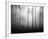 After the Rain-Hengki Lee-Framed Photographic Print