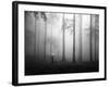 After the Rain-Hengki Lee-Framed Photographic Print