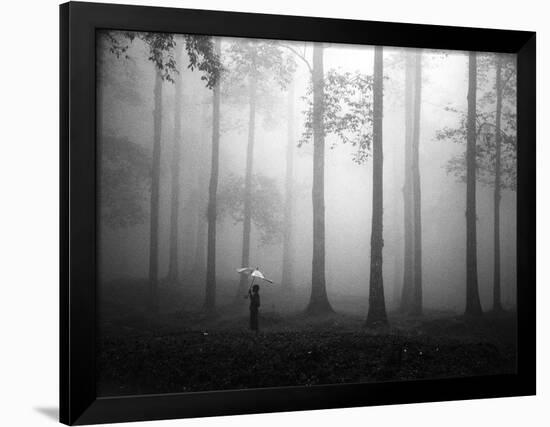 After the Rain-Hengki Lee-Framed Photographic Print