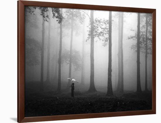 After the Rain-Hengki Lee-Framed Photographic Print