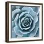 After the Rain-Jan Bell-Framed Photographic Print