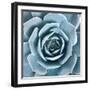 After the Rain-Jan Bell-Framed Photographic Print