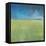 After The Rain-Jan Weiss-Framed Stretched Canvas