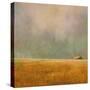 After the Rain-Ynon Mabat-Stretched Canvas