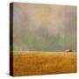 After the Rain-Ynon Mabat-Stretched Canvas