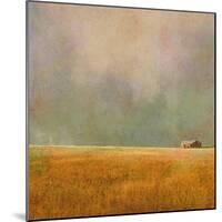 After the Rain-Ynon Mabat-Mounted Art Print