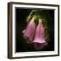 After the Rain-Jessica Jenney-Framed Giclee Print