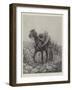 After the Skirmish-Richard Caton Woodville II-Framed Giclee Print