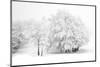 After the Snow-Philippe Sainte-Laudy-Mounted Photographic Print