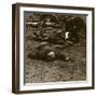 After the Storm and Stress of Battle, Caring for the Wounded, World War I, 1914-1918-null-Framed Photographic Print