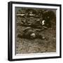 After the Storm and Stress of Battle, Caring for the Wounded, World War I, 1914-1918-null-Framed Photographic Print