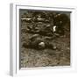 After the Storm and Stress of Battle, Caring for the Wounded, World War I, 1914-1918-null-Framed Photographic Print