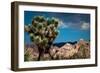 After the Storm I-Erin Berzel-Framed Photographic Print