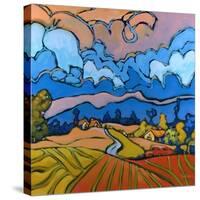 After the Storm-Don Tiller-Stretched Canvas