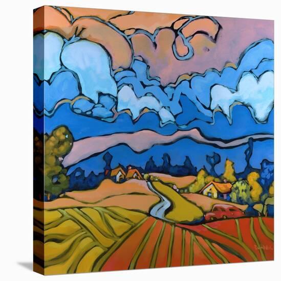 After the Storm-Don Tiller-Stretched Canvas