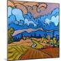 After the Storm-Don Tiller-Mounted Premium Giclee Print