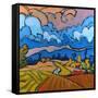 After the Storm-Don Tiller-Framed Stretched Canvas